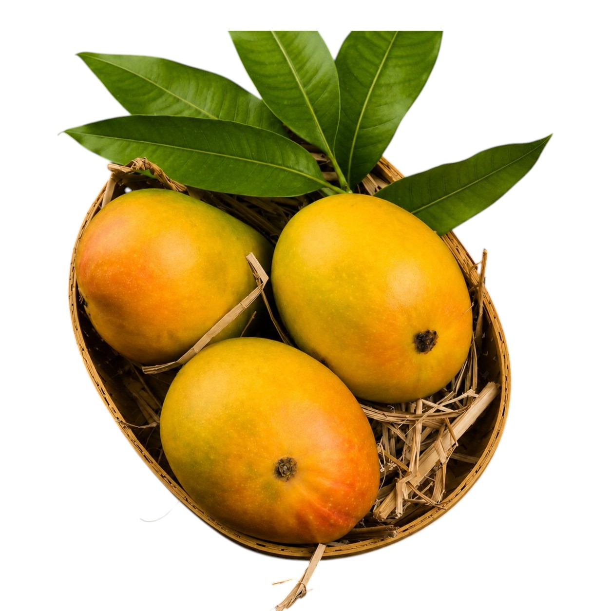 Alphonso Ratnagiri - (One Dozen Box)