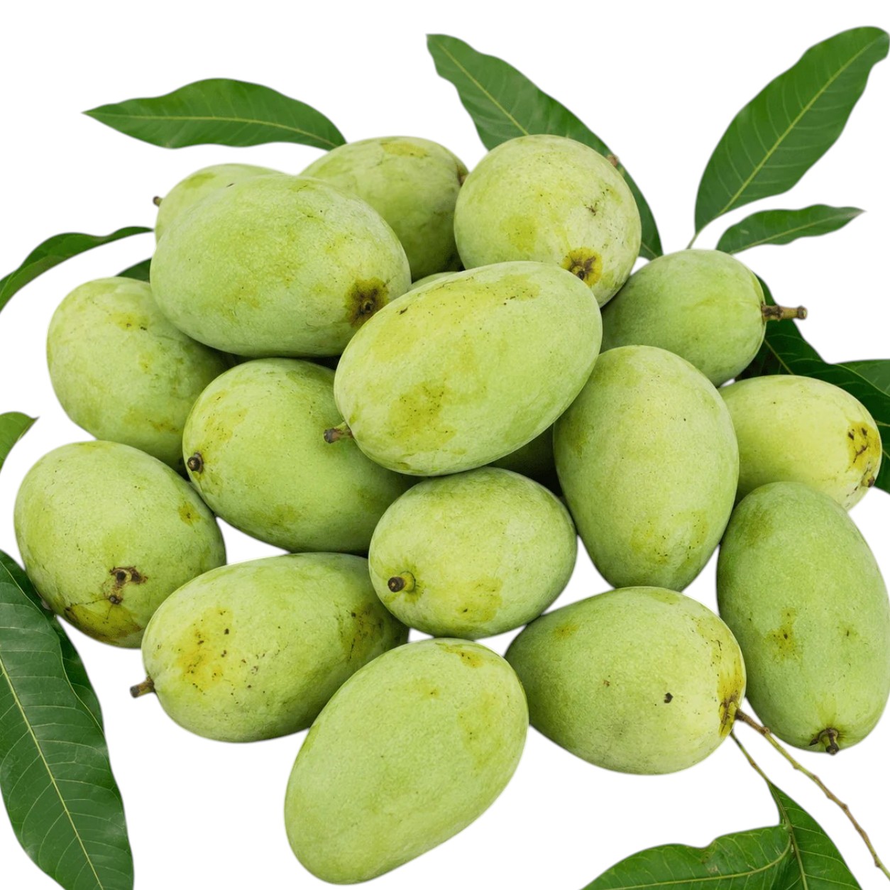 Malda Mango (1 Kg)
